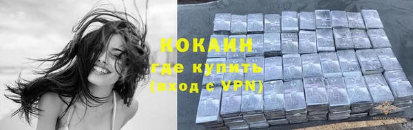 спиды Зеленокумск