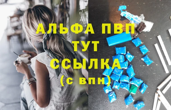 спиды Зеленокумск