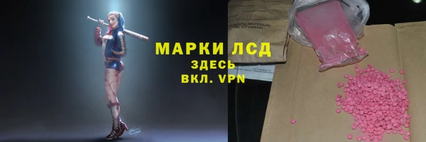 спиды Зеленокумск