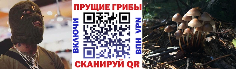 Псилоцибиновые грибы мицелий  как найти закладки  Карабаш 