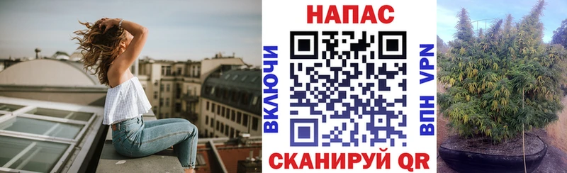 Бошки Шишки Bruce Banner  мега как войти  Карабаш 
